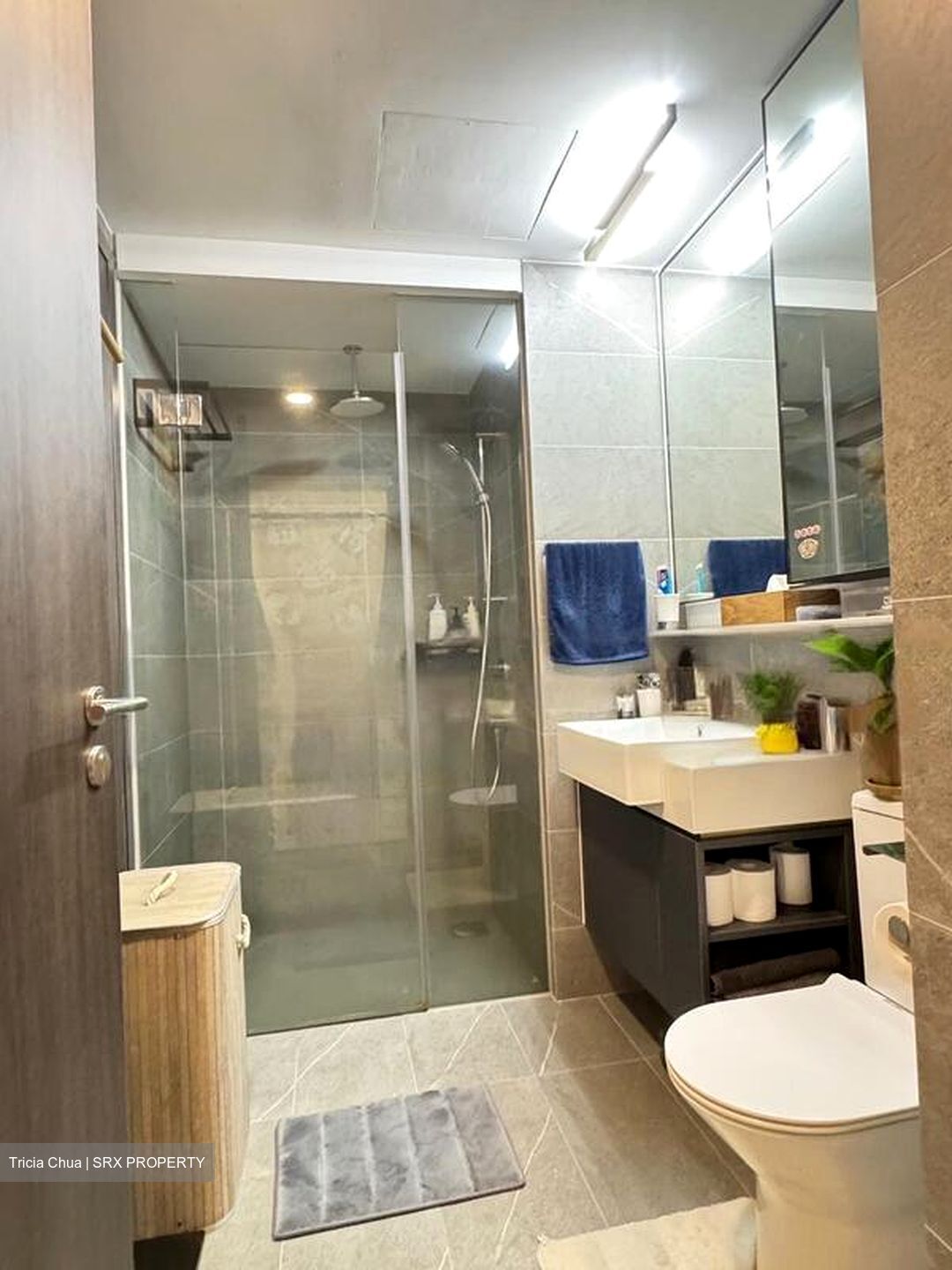 Riverfront Residences (D19), Apartment #453563351